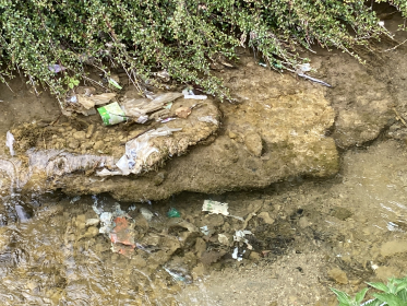 2021-Clean-Up-Day_11